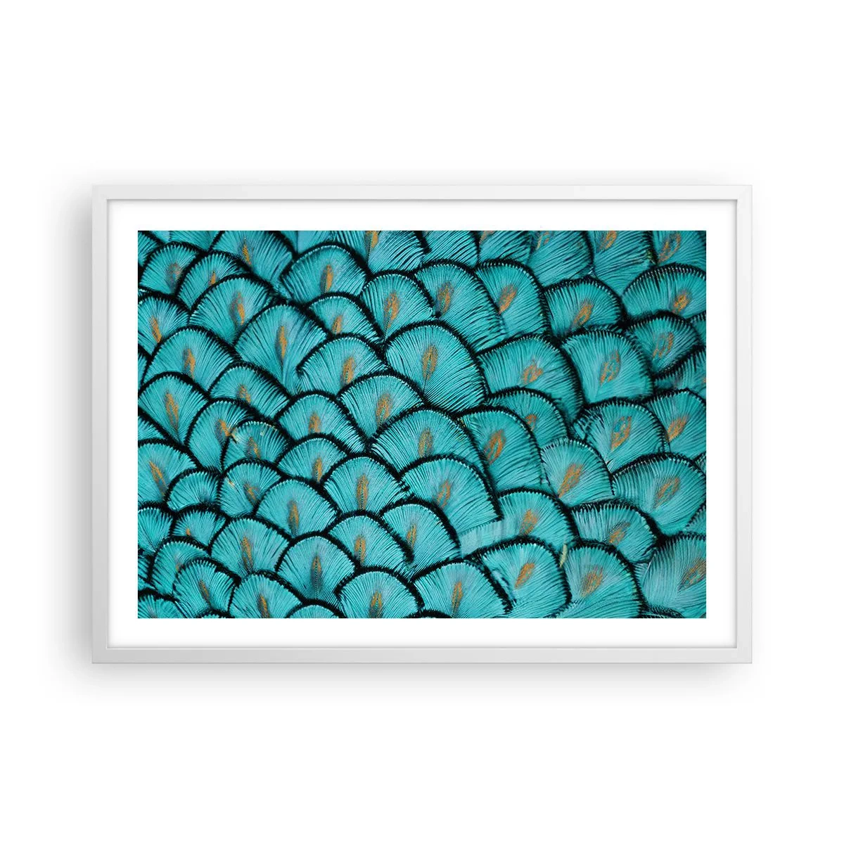 Póster en marco blanco - La gran gala de las plumas - 70x50 cm