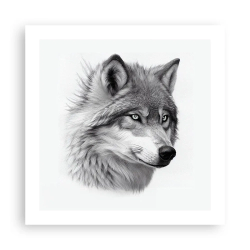 Póster - Alfa - sin duda - 50x50 cm