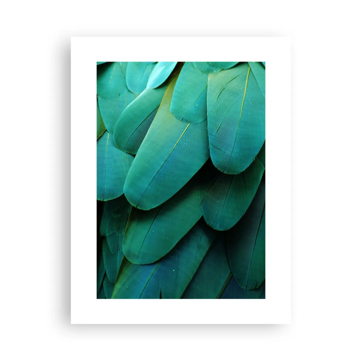Póster - La precisión de la naturaleza - 30x40 cm