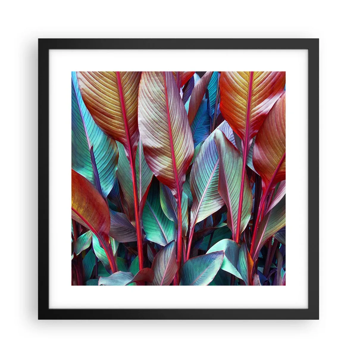 Póster en marco negro - Un matorral de colores - 40x40 cm