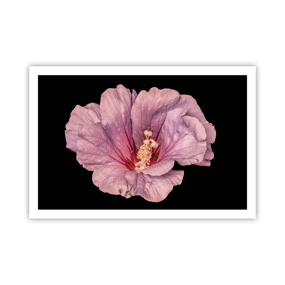 Póster - Directo al corazón - 91x61 cm