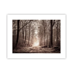 Póster - La catedral del bosque - 40x30 cm