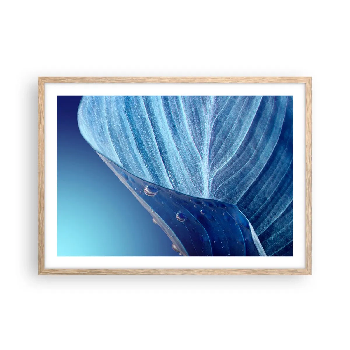 Póster en marco roble claro - Gotas ocultas de azul - 70x50 cm