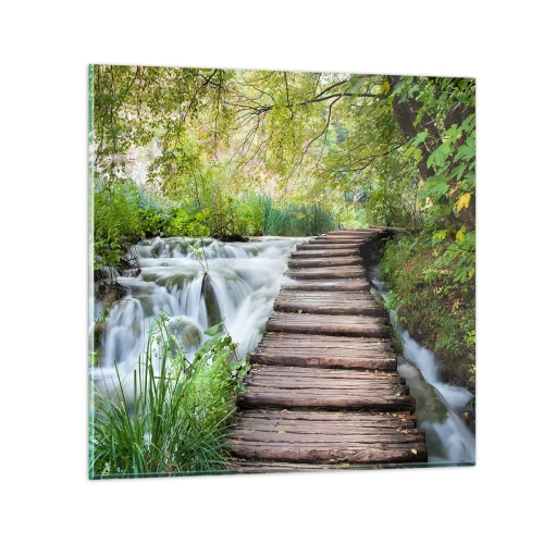 Cuadro sobre vidrio - Impresiones sobre Vidrio - No es agua silenciosa en absoluto - 50x50 cm