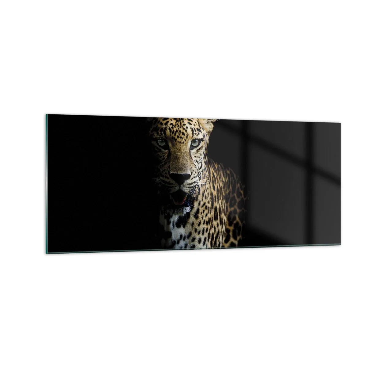 Cuadro sobre vidrio - Impresiones sobre Vidrio - Belleza oscura - 100x40 cm