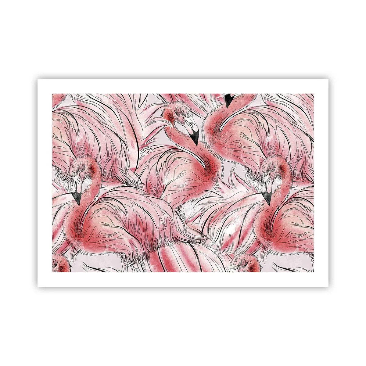 Póster - Ballet de aves - 70x50 cm