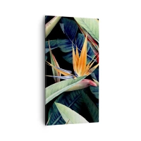 55x100 cm | Vertical