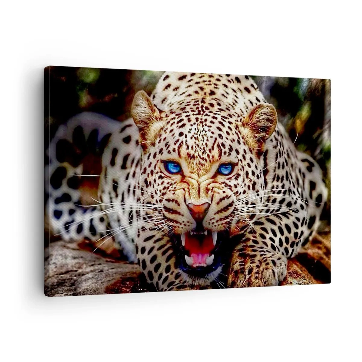 Cuadro sobre lienzo - Impresión de Imagen - Un leopardo amenazante con intensos ojos azules. - 70x50cm - La ira no daña la belleza - Decoración de pared moderna para salón y dormitorio ARTTOR