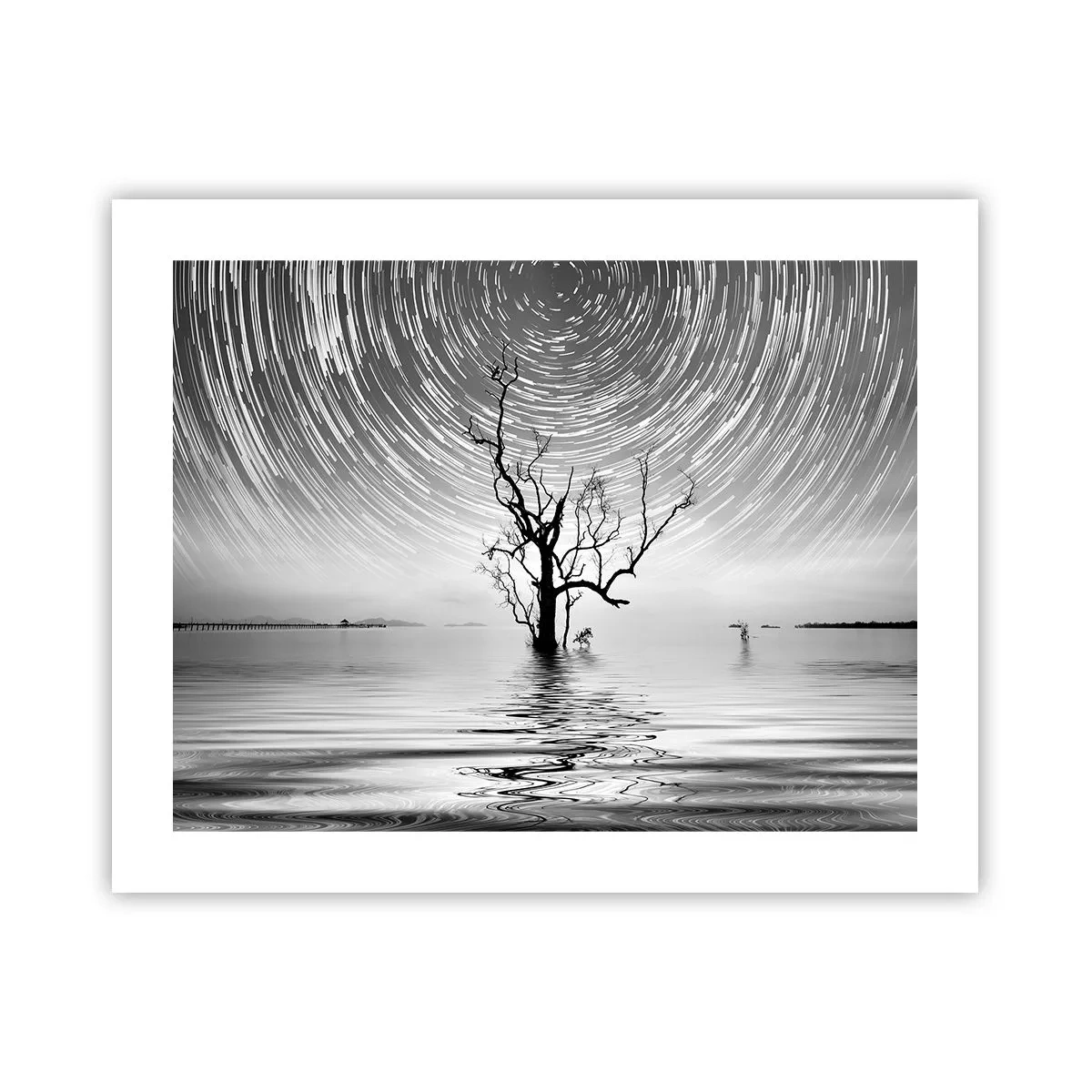 Póster - Una sinfonía de la naturaleza - 50x40 cm