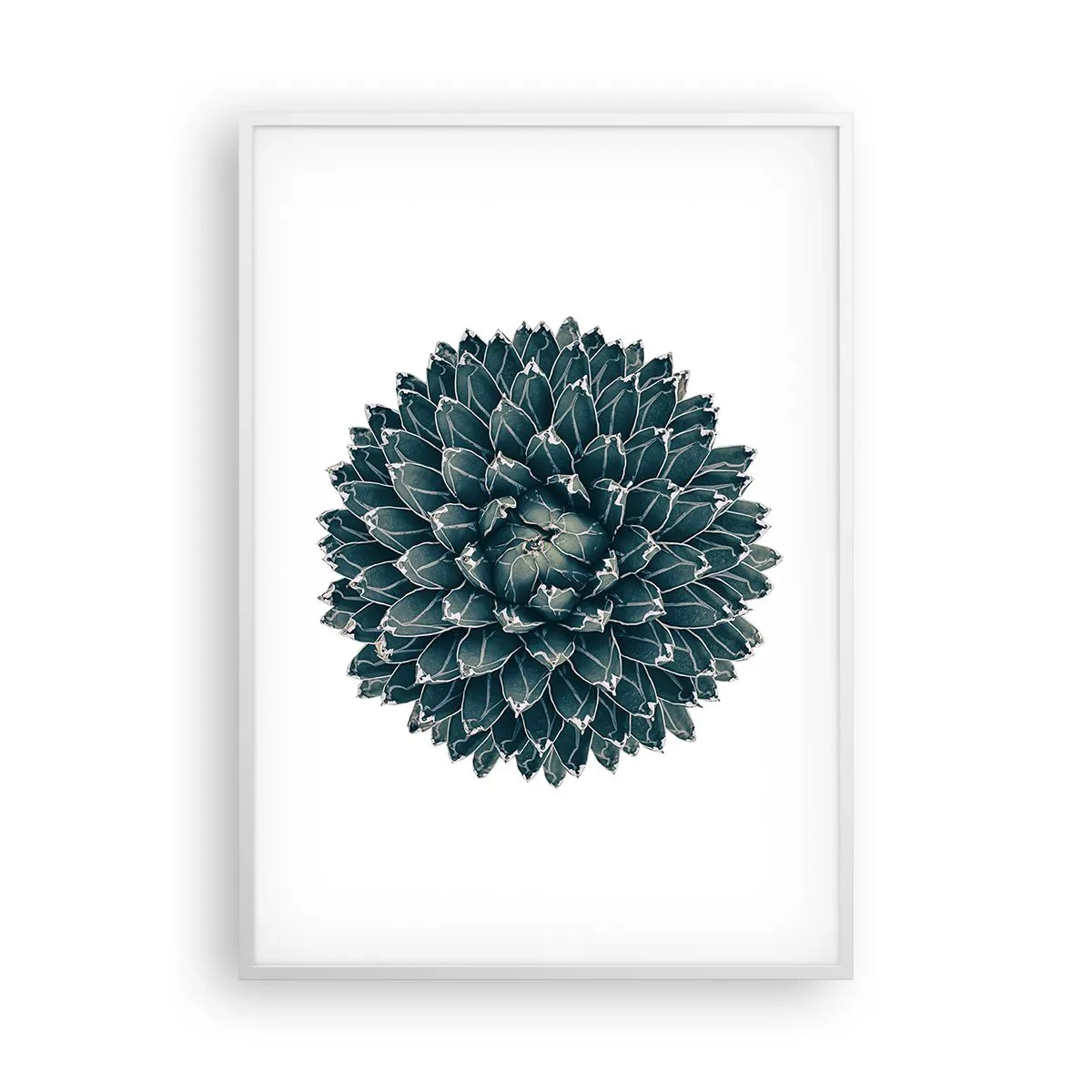 Póster en marco blanco - Estrella del desierto - 70x100 cm