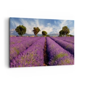 Cuadro sobre lienzo - Impresión de Imagen - Un campo de lavanda con árboles con el telón de fondo de montañas y cielo. - 100x70cm - Campos de lavanda - Decoración de pared moderna para salón y dormitorio ARTTOR