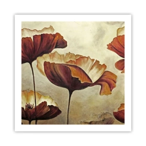 Póster - Prado de prados - 60x60 cm