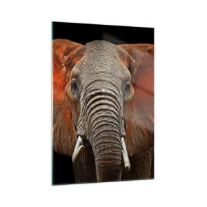 Cuadro sobre vidrio - Impresiones sobre Vidrio - Retrato de un majestuoso elefante sobre un fondo negro - 50x70cm - Soy salvaje, ¿y tú? - Decoración de pared moderna para salón y dormitorio ARTTOR