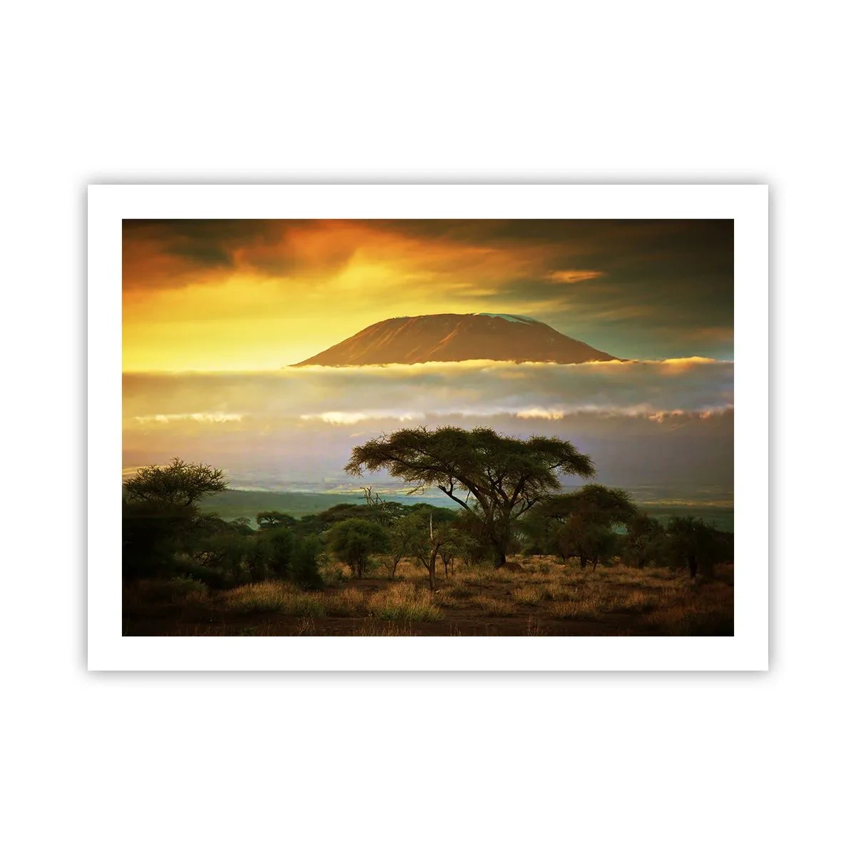 Póster - El sueño del viajero - 70x50 cm