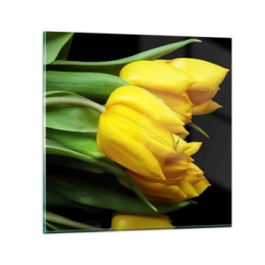 Cuadro sobre vidrio - Impresiones sobre Vidrio - Resucitado de puro sol - 50x50 cm