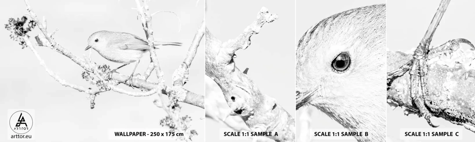 Muestra de fotomural autoadhesivo Deluxe Sticker - Mañana de invierno - Brillante, Pájaro, Naturaleza - 100x30 cm