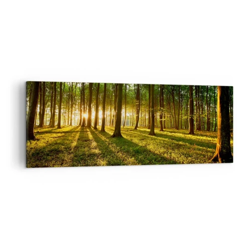 Cuadro sobre lienzo - Impresión de Imagen - El sol poniente en el bosque caducifolio - 140x50cm - Una fotografía de todos los manantiales - Decoración de pared moderna para salón y dormitorio ARTTOR