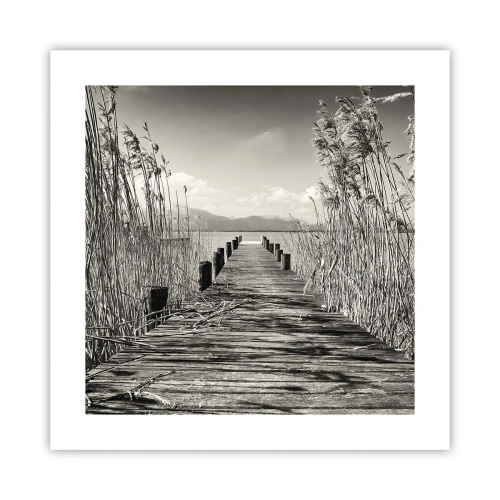 Póster - En la quietud de los juncos - 40x40 cm