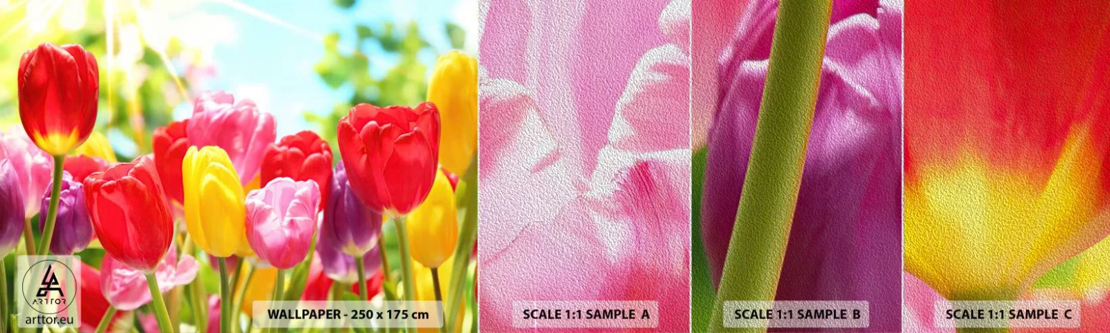 Muestra de fotomural Premium Sand - Somos nosotros, ¡los colores de mayo! - flores, tulipanes, Jardín - 100x30 cm
