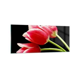 Cuadro sobre vidrio - Impresiones sobre Vidrio - Tulipanes rojos con gotas de rocío sobre un fondo negro - 120x50cm - Promesa de amor puro - Decoración de pared moderna para salón y dormitorio ARTTOR