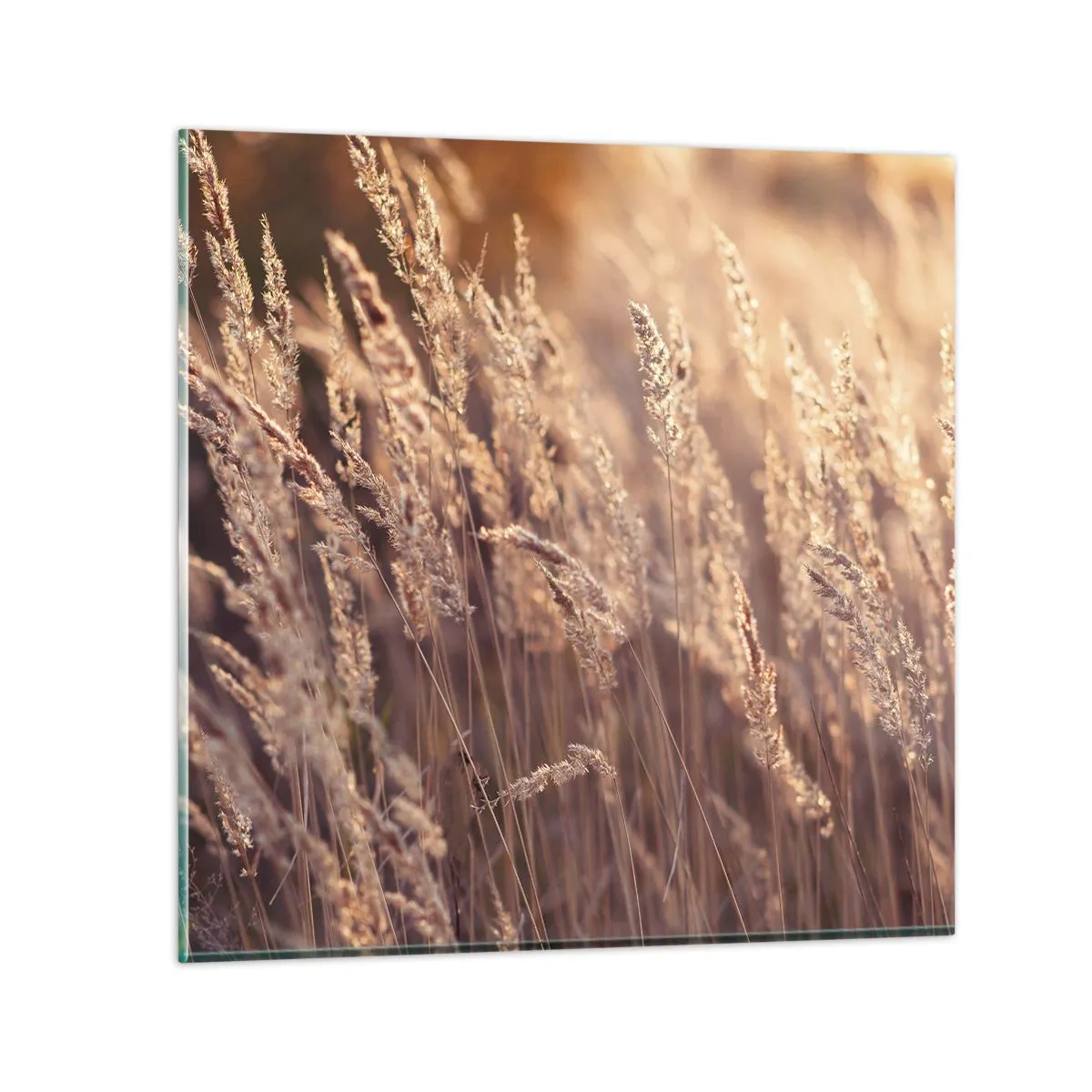 Cuadro sobre vidrio - Impresiones sobre Vidrio - Listos para dar la bienvenida al otoño - 50x50 cm