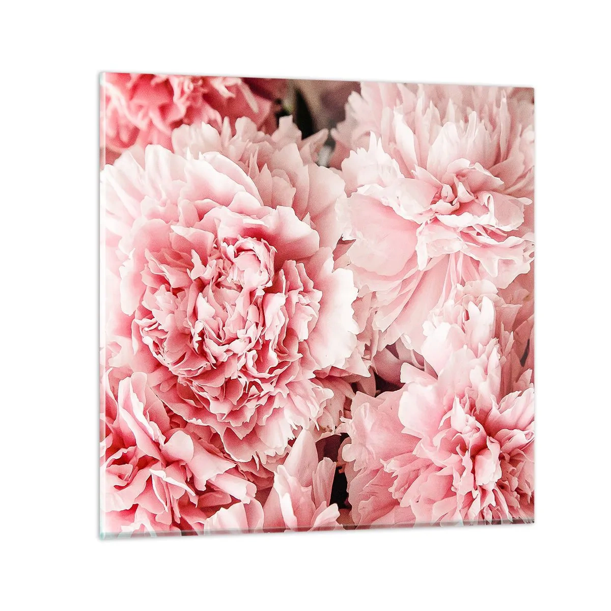 Cuadro sobre vidrio - Impresiones sobre Vidrio - Sueño rosa - 30x30 cm