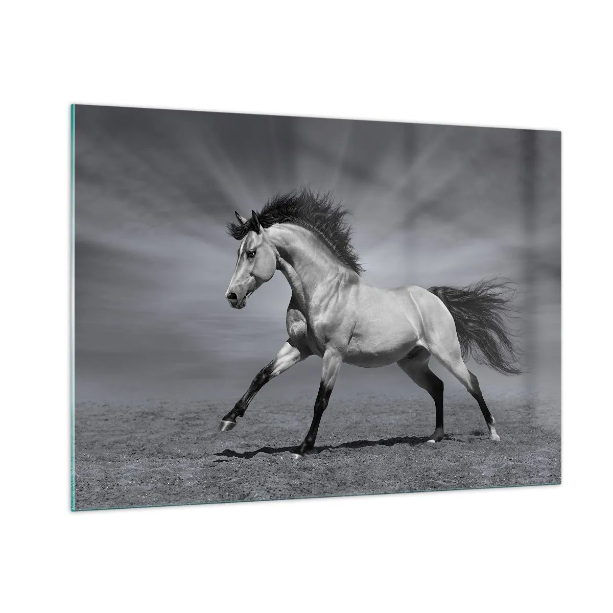 Cuadro sobre vidrio - Impresiones sobre Vidrio - Una fotografía en blanco y negro de un caballo galopando en un campo abierto. - 100x70cm - Nacido para deleitar - Decoración de pared moderna para salón y dormitorio ARTTOR