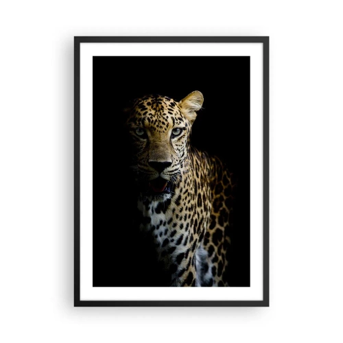 Póster en marco negro - Un leopardo sobre un fondo oscuro con vívidos detalles de pelaje. - 50x70cm - Belleza oscura - Decoración de pared moderna para salón y dormitorio ARTTOR