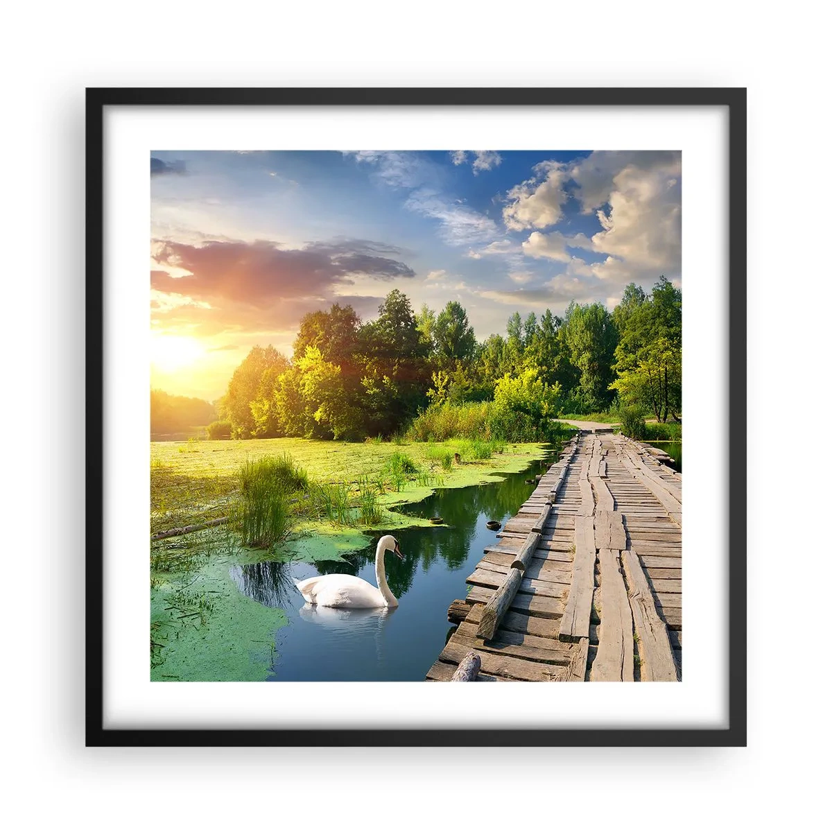 Póster en marco negro - Verano, verano en todas partes - 50x50 cm