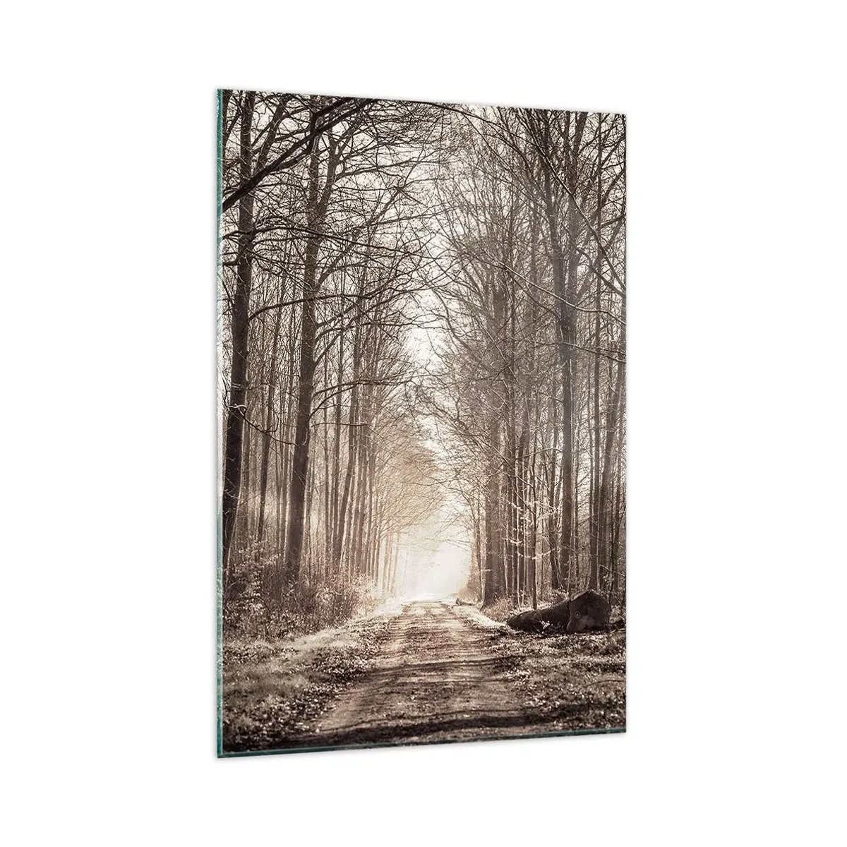 Cuadro sobre vidrio - Impresiones sobre Vidrio - Un sendero forestal entre árboles en tonos sepia. - 80x120cm - La catedral del bosque - Decoración de pared moderna para salón y dormitorio ARTTOR