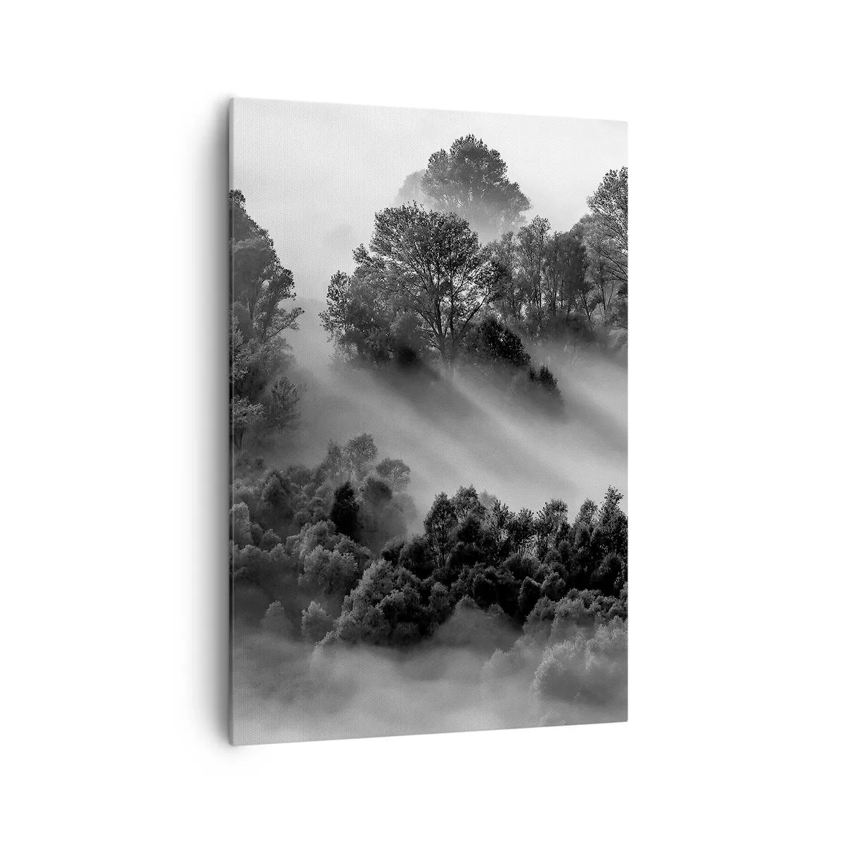Cuadro sobre lienzo - Impresión de Imagen - Paisaje forestal en blanco y negro en la niebla matutina - 70x100cm - Levantarse del sueño - Decoración de pared moderna para salón y dormitorio ARTTOR