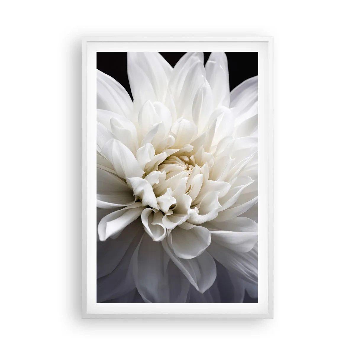 Póster en marco blanco - La novia de la mañana - 61x91 cm