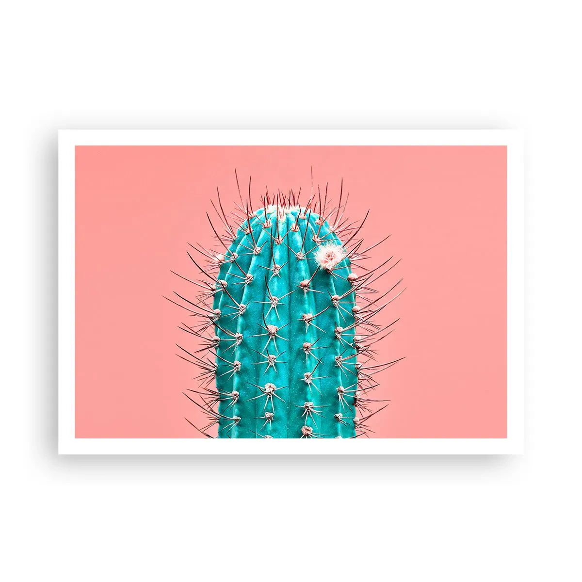 Póster - Una versión artística de un cactus sobre un fondo rosa. - 100x70cm - Se mira, pero no se toca - Decoración de pared moderna para salón y dormitorio ARTTOR