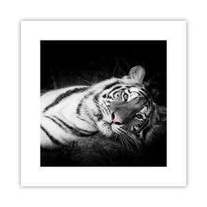 Póster - Salvaje y tranquilo - 30x30 cm