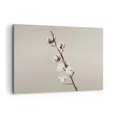 Cuadro sobre lienzo - Impresión de Imagen - Una ramita de algodón sobre un fondo beige. - 100x70cm - En la fuente de la suavidad - Decoración de pared moderna para salón y dormitorio ARTTOR