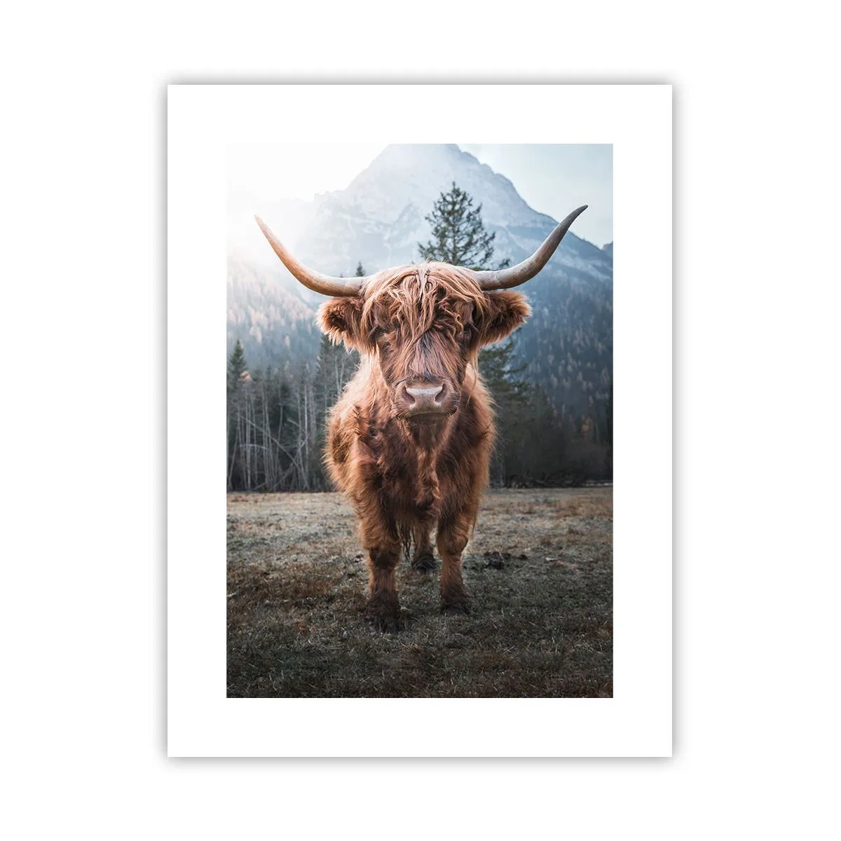 Póster - Saludos desde un prado de montaña - 30x40 cm