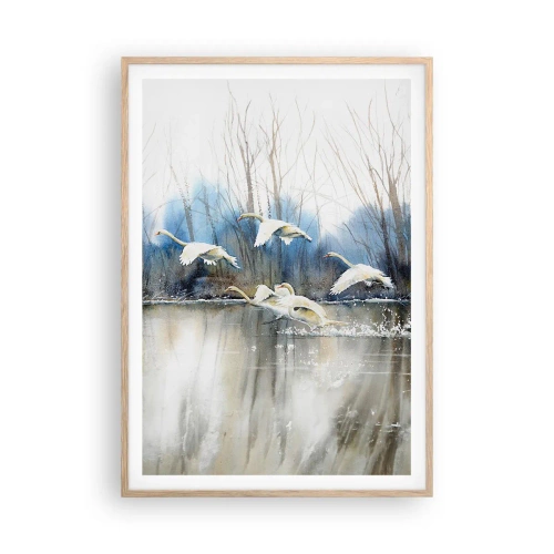 Póster en marco roble claro - Como en un cuento de cisnes salvajes - 70x100 cm