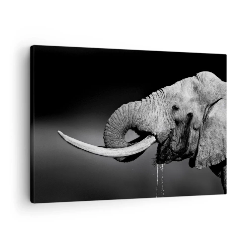 Cuadro sobre lienzo - Impresión de Imagen - Retrato en blanco y negro de un elefante de perfil. - 70x50cm - Majestuoso - Decoración de pared moderna para salón y dormitorio ARTTOR
