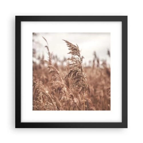 Póster en marco negro - El otoño ya está en los campos - 30x30 cm