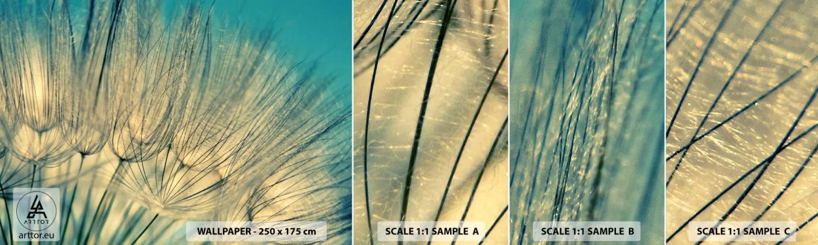 Muestra de fotomural autoadhesivo Deluxe Sticker - Esperando el viento - Diente de león, Prado, Naturaleza - 100x30 cm