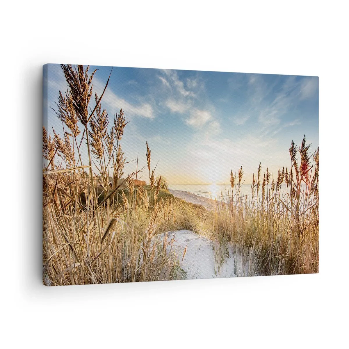 Cuadro sobre lienzo - Impresión de Imagen - Una playa pintoresca con césped y la puesta de sol. - 70x50cm - Playa del norte - Decoración de pared moderna para salón y dormitorio ARTTOR