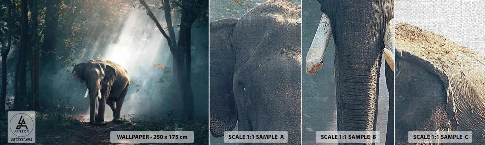 Muestra de fotomural Premium Canvas - Un paseo tranquilo - animales, Elefante, Selva - 100x30 cm