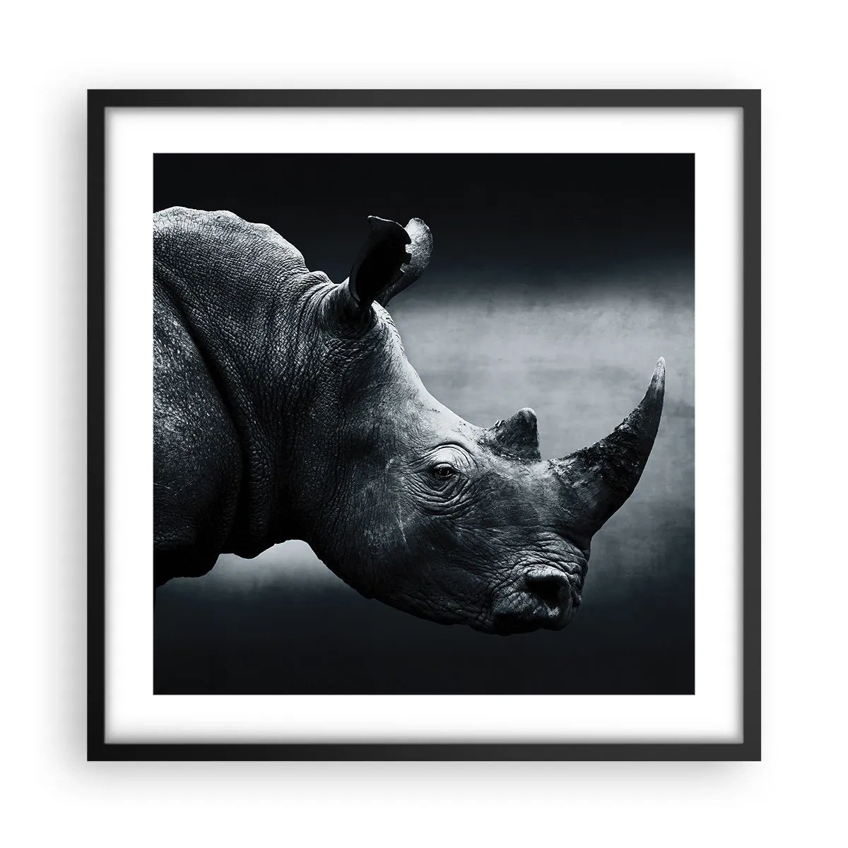 Póster en marco negro - Perfil derecho - 50x50 cm
