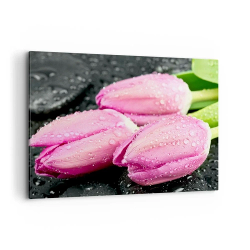 Cuadro sobre lienzo - Impresión de Imagen - Tres tulipanes rosas con gotas de agua sobre un fondo negro. - 100x70cm - Lilas sobre piedra negra - Decoración de pared moderna para salón y dormitorio ARTTOR