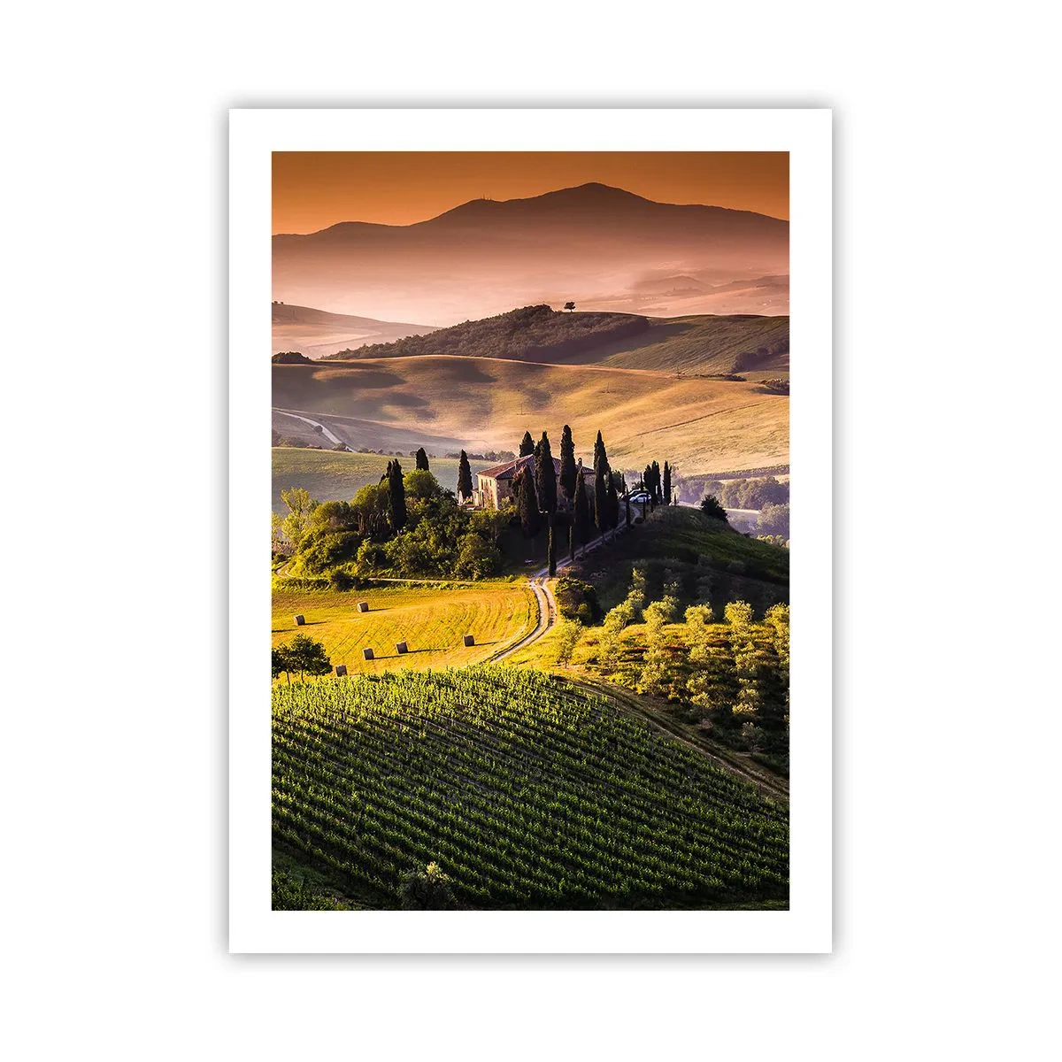 Póster - Paisaje toscano con viñedos al atardecer - 50x70cm - Paisaje toscano - Decoración de pared moderna para salón y dormitorio ARTTOR