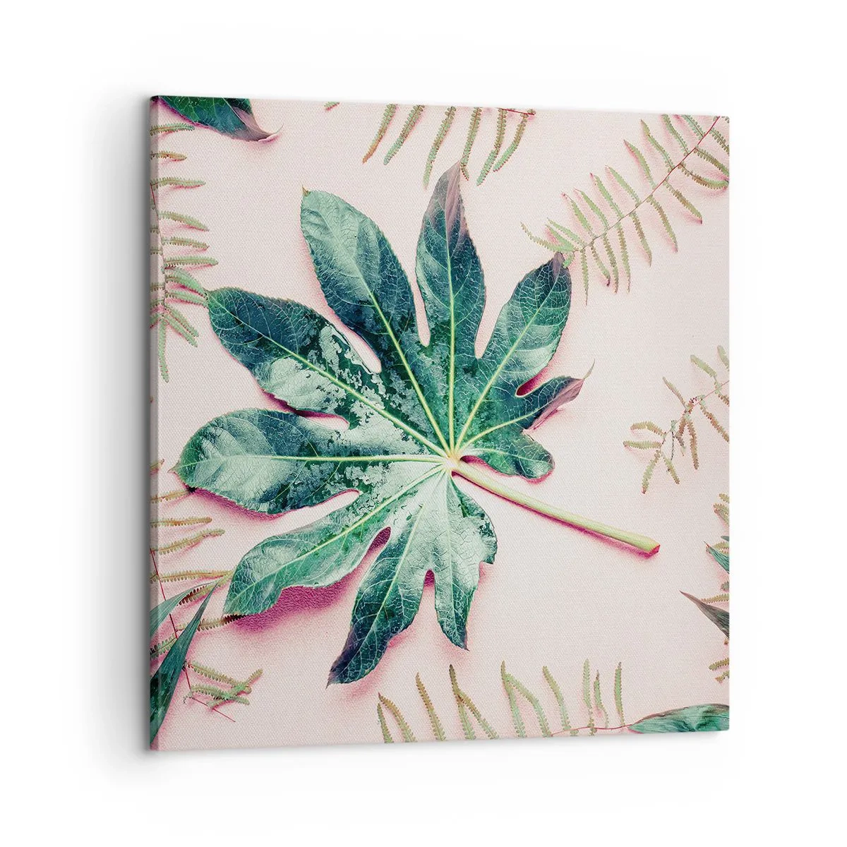 Cuadro sobre lienzo - Impresión de Imagen - Estudio de vegetación sobre fondo rosa - 60x60 cm
