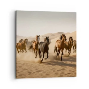 Cuadro sobre lienzo - Impresión de Imagen - Libre como el viento - 70x70 cm