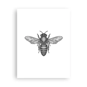Póster - Retrato de insecto - 30x40 cm