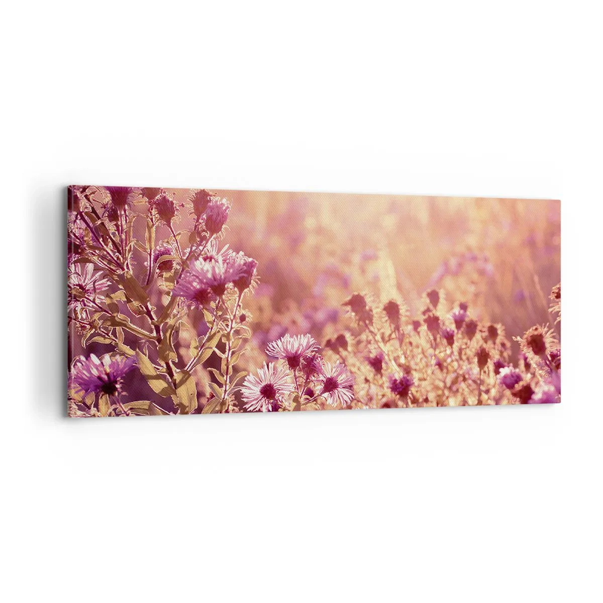 Cuadro sobre lienzo - Impresión de Imagen - Antes de que se acabe el verano - 100x40 cm