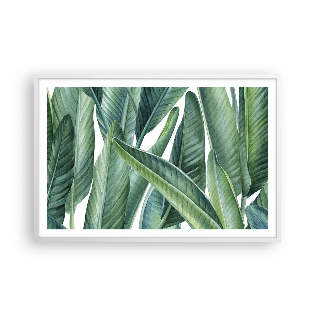 Póster en marco blanco - Vegetación en estado puro - 91x61 cm